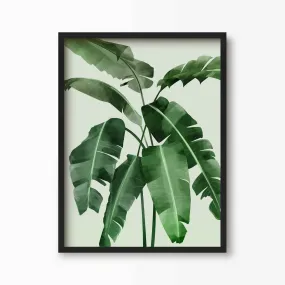 Banana Leaves Art Print