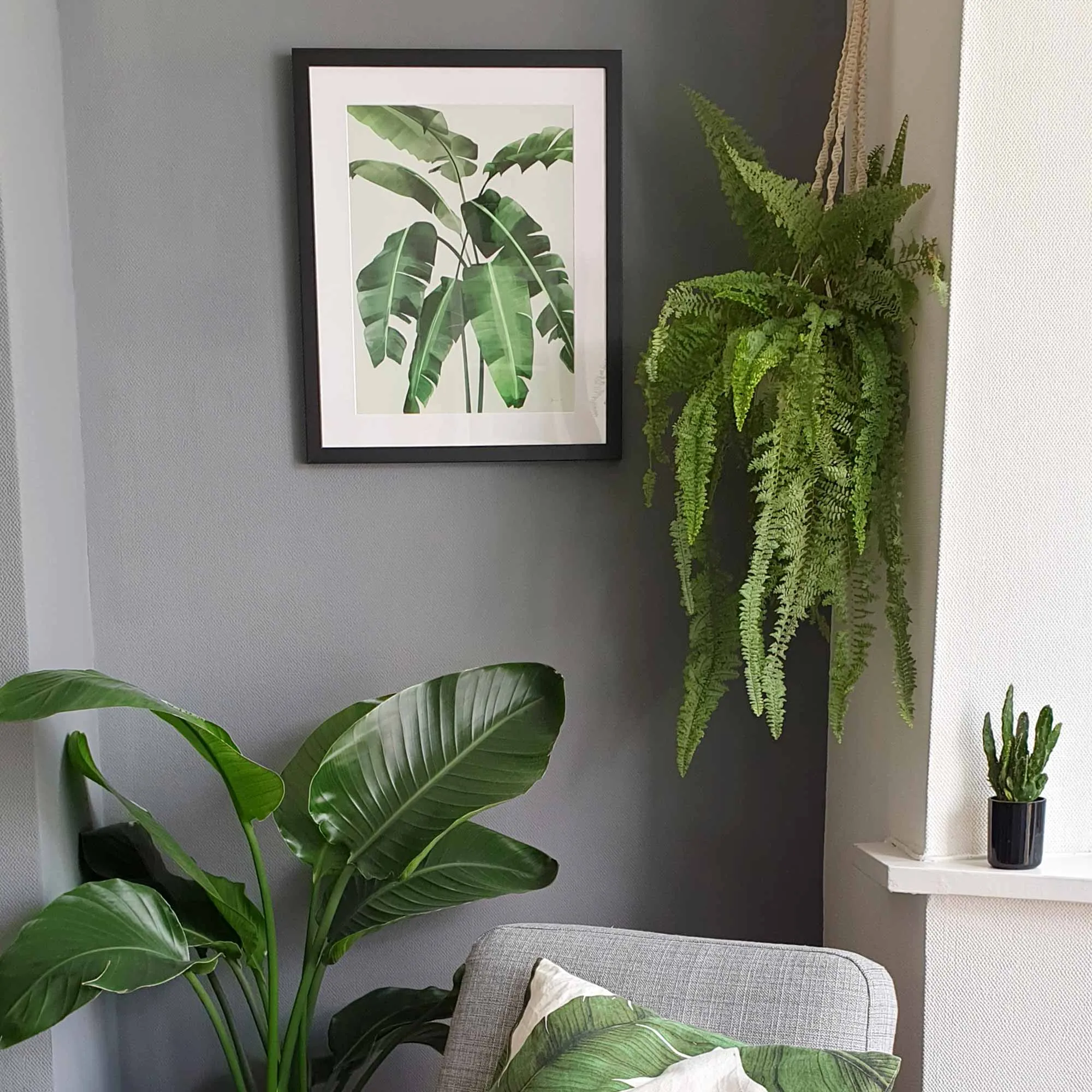 Banana Leaves Art Print