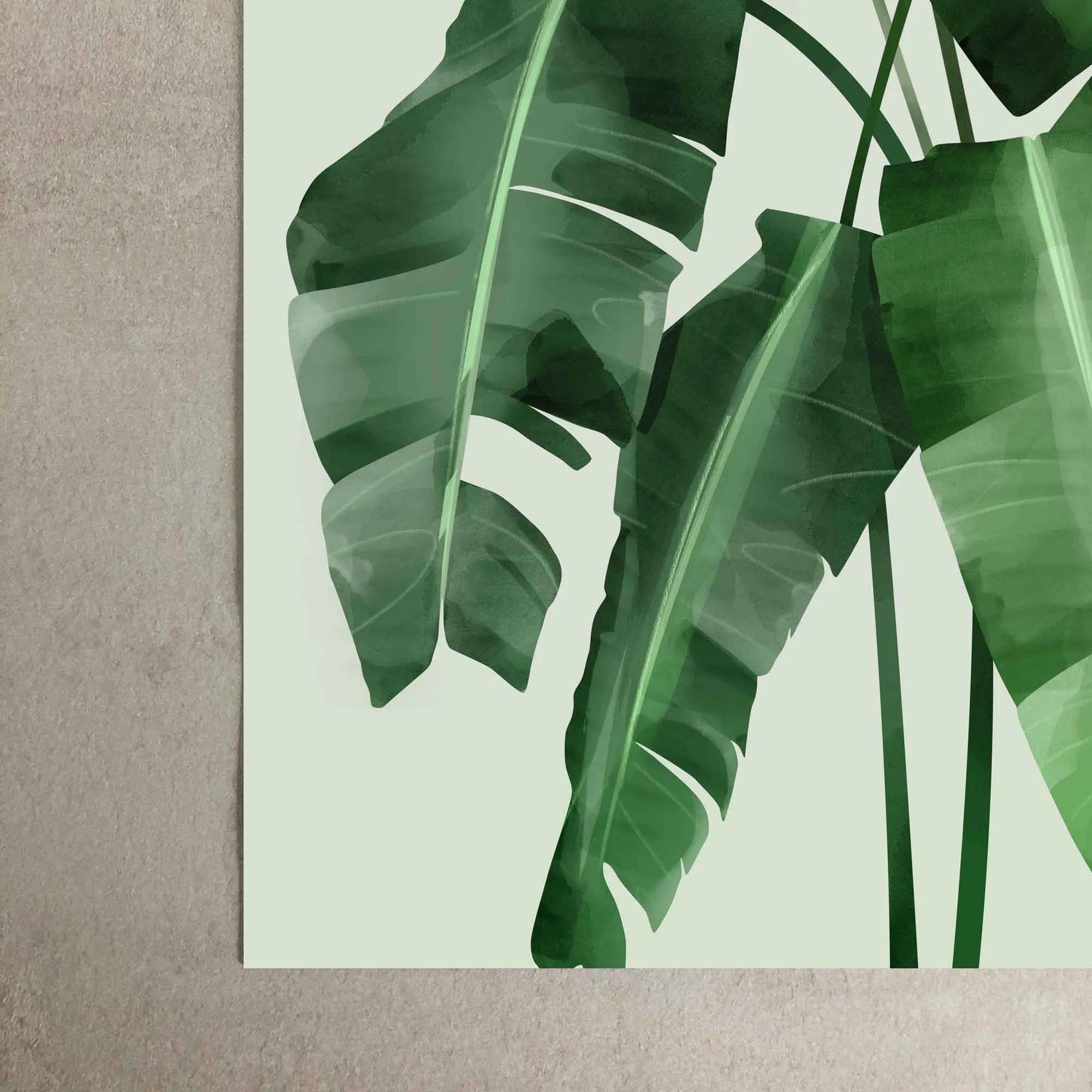 Banana Leaves Art Print