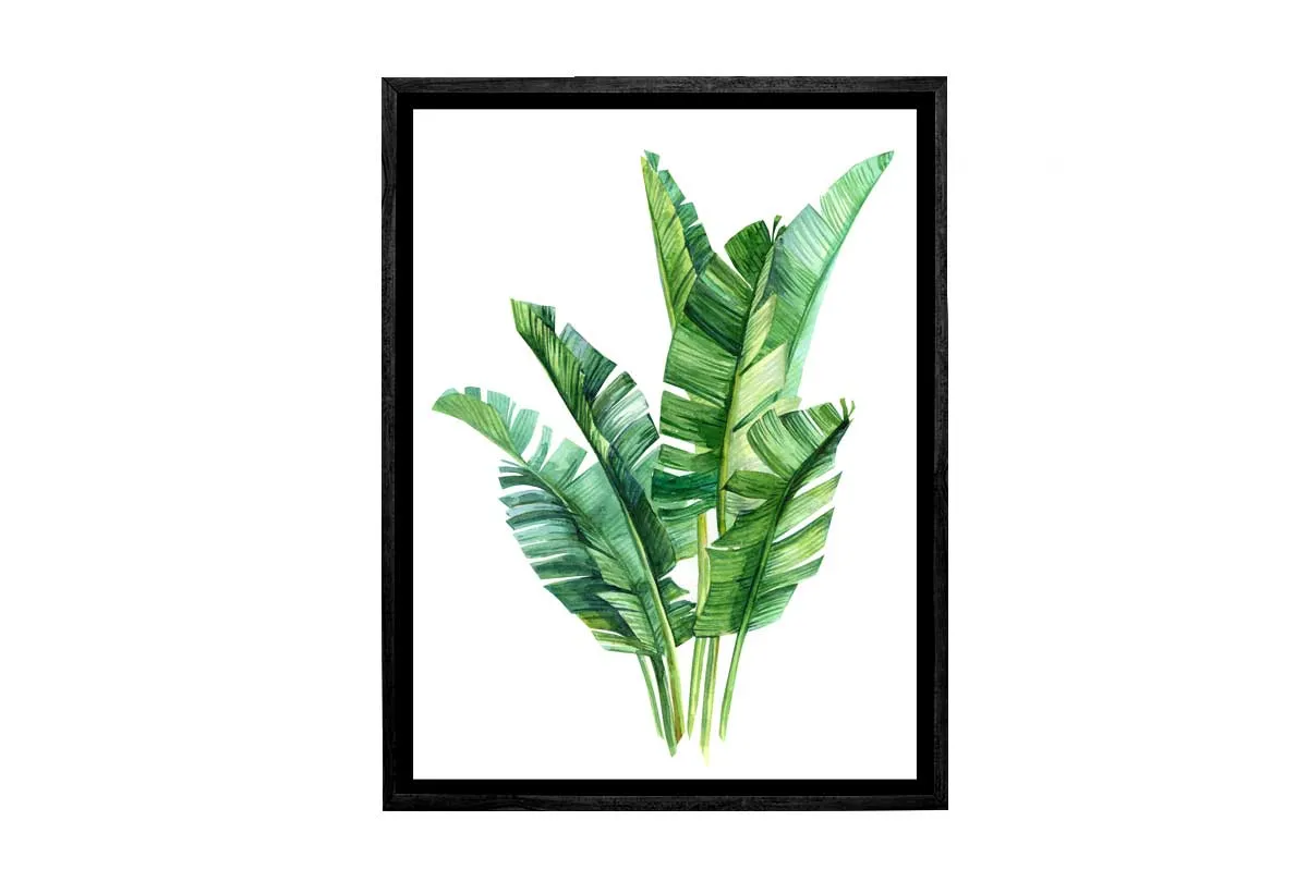 Banana Leaves in Watercolour | Canvas Wall Art Print