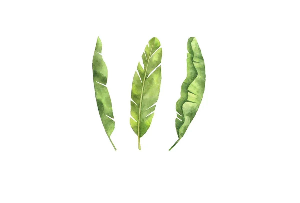 Banana Leaves | Tropical Leaf Wall Art