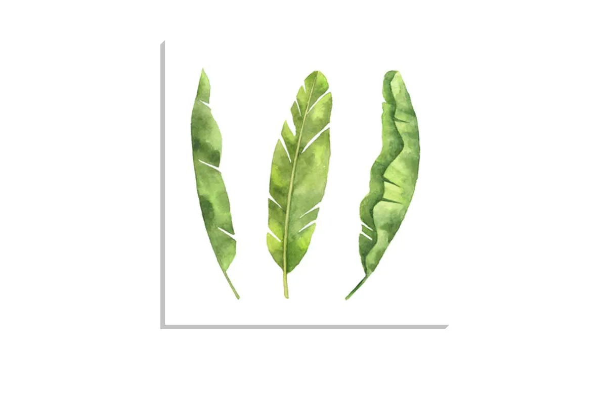 Banana Leaves | Tropical Leaf Wall Art