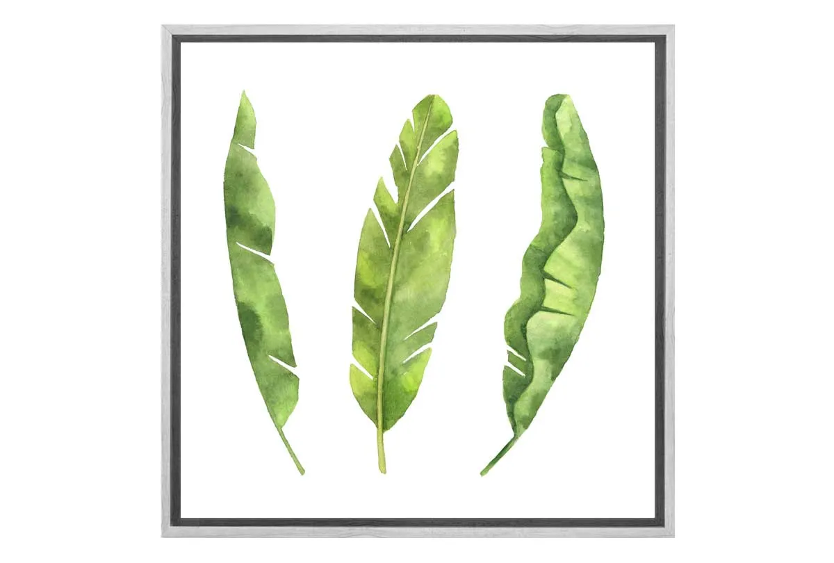 Banana Leaves | Tropical Leaf Wall Art