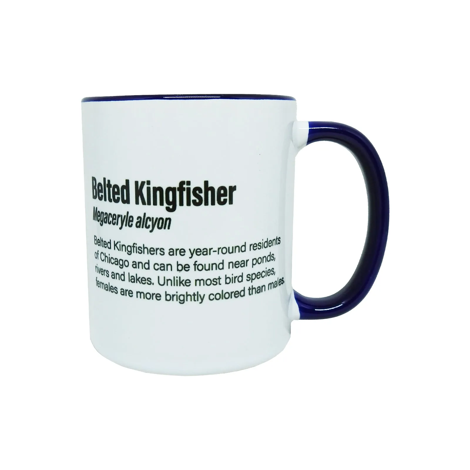 Belted Kingfisher Mug