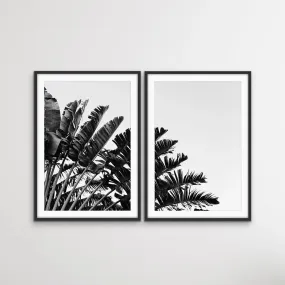 Black and White Banana Palm - Two Piece Boho Banana Palm Print Set