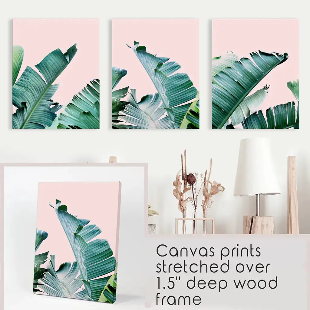 Green Banana Leaves on Pink. Tropical Triptych