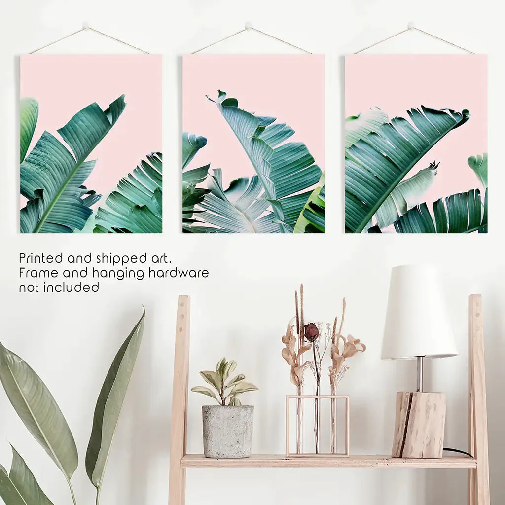 Green Banana Leaves on Pink. Tropical Triptych