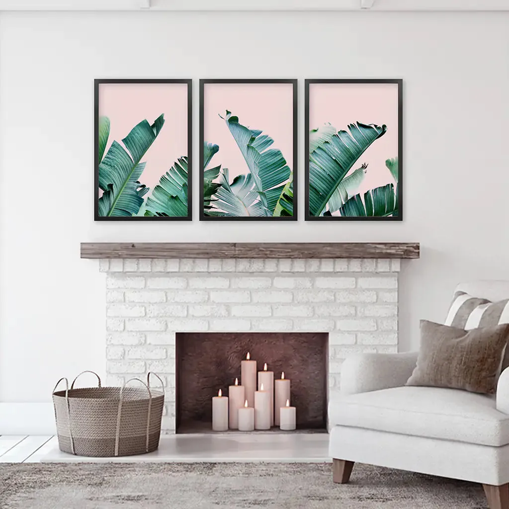 Green Banana Leaves on Pink. Tropical Triptych