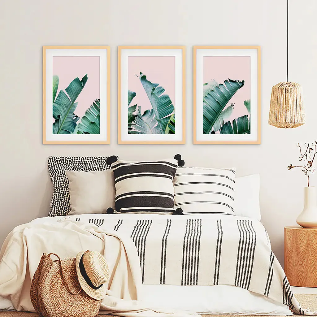 Green Banana Leaves on Pink. Tropical Triptych