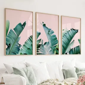 Green Banana Leaves on Pink. Tropical Triptych