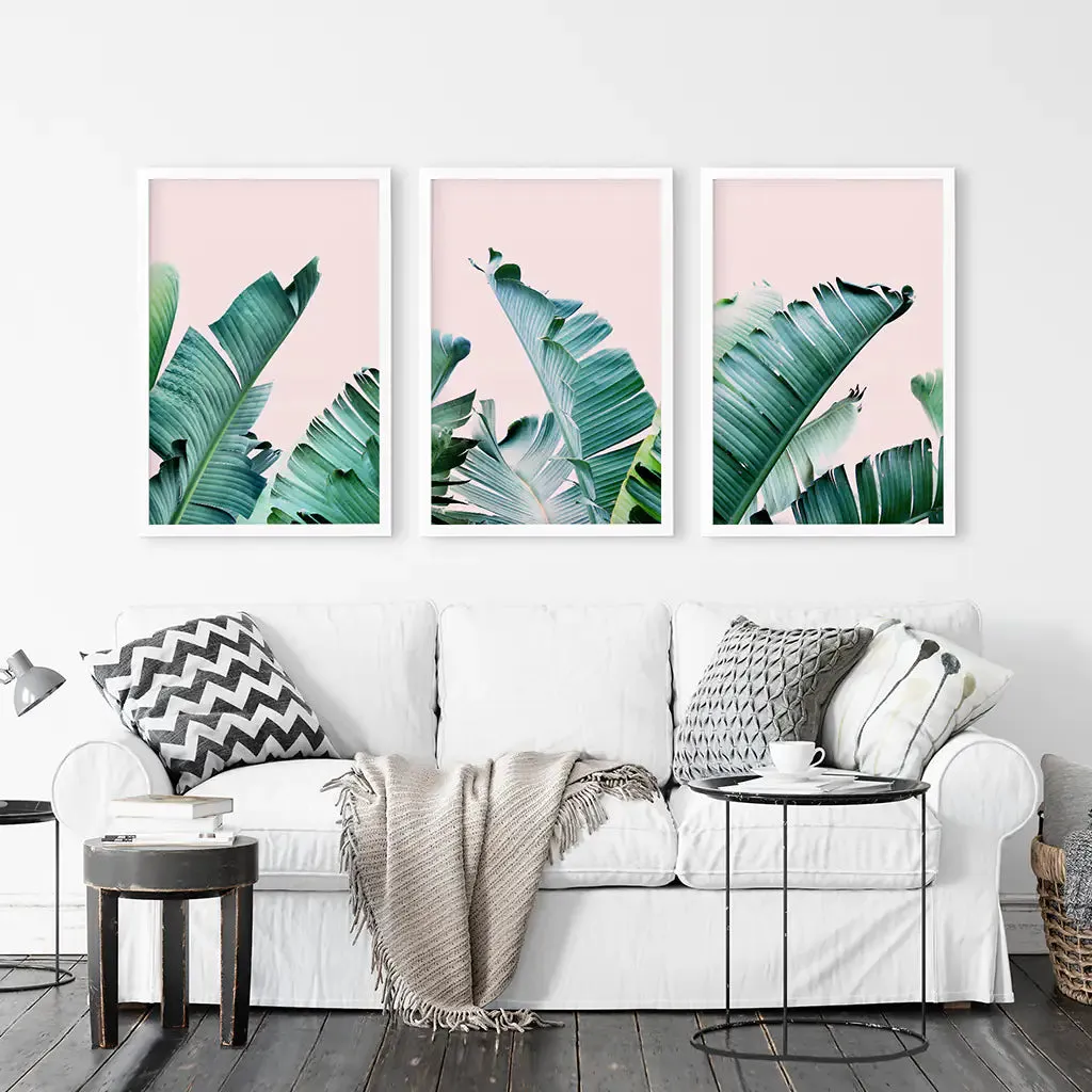 Green Banana Leaves on Pink. Tropical Triptych