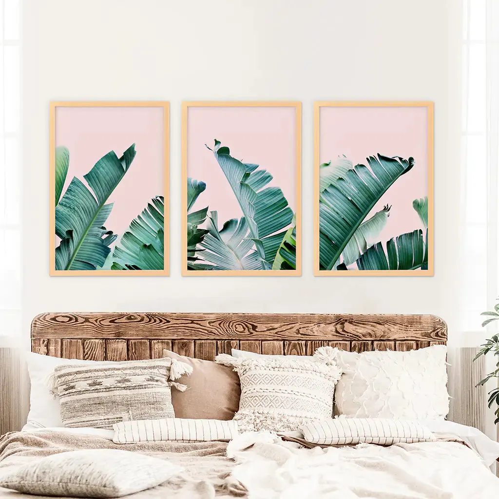 Green Banana Leaves on Pink. Tropical Triptych