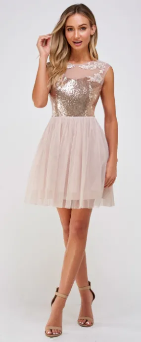 Taylor Tulle Minidress